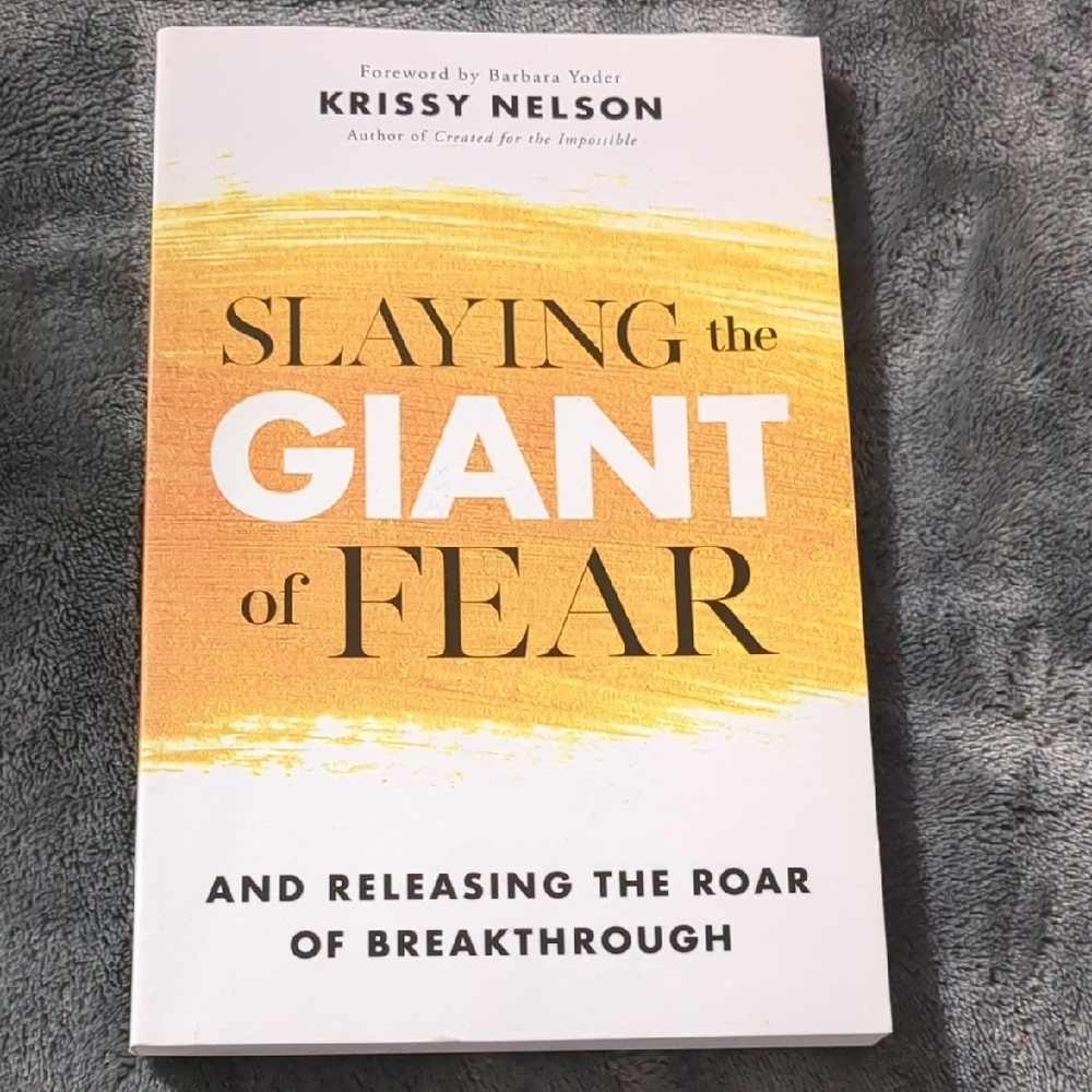 Slaying the Giant of Fear Book